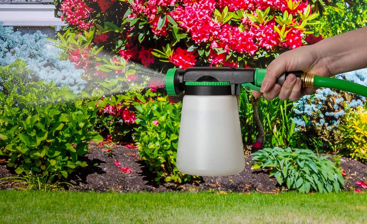 How to Get Rid of Japanese Beetles The Home Depot